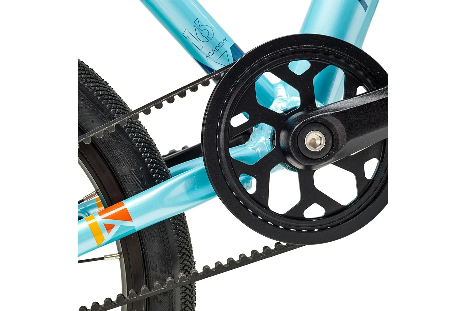 Academy Grade 3 Belt 2023 4 Academy Grade 3 Belt 2023 – Bild 2