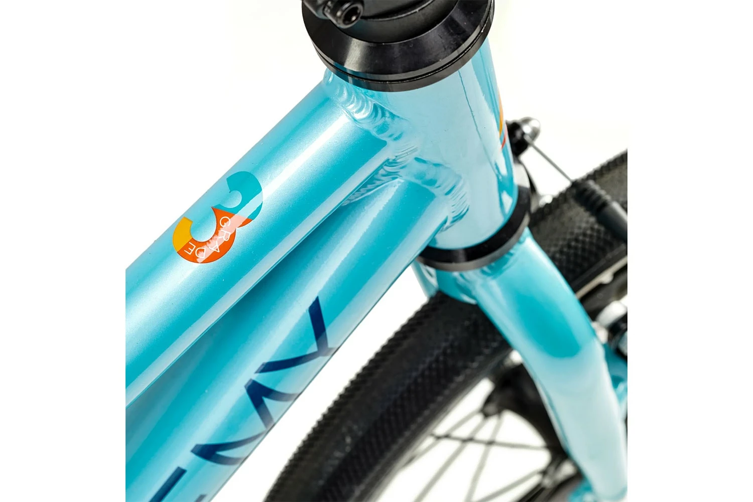 Academy Grade 3 Belt 2023 6 Academy Grade 3 Belt 2023 – Bild 4