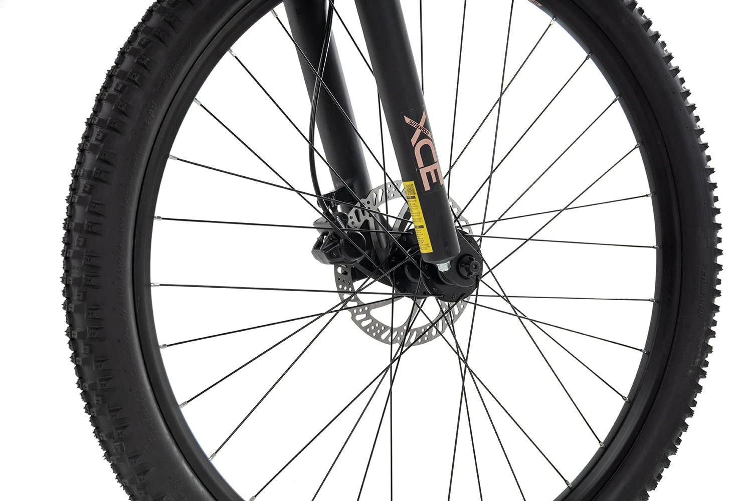 Axess DOREE 2023 5 Axess DOREE 2023 – Bild 3