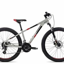 Axess STIPE PRO 26 2022 | 13 Zoll | Grey/black/red | 26 Zoll