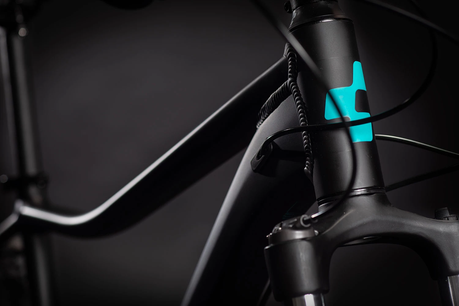 Cube Access WS EXC | 19 Zoll | Black´n´blue | 29 Zoll 4 Cube Access WS EXC | 19 Zoll | Black´n´blue | 29 Zoll – Bild 2