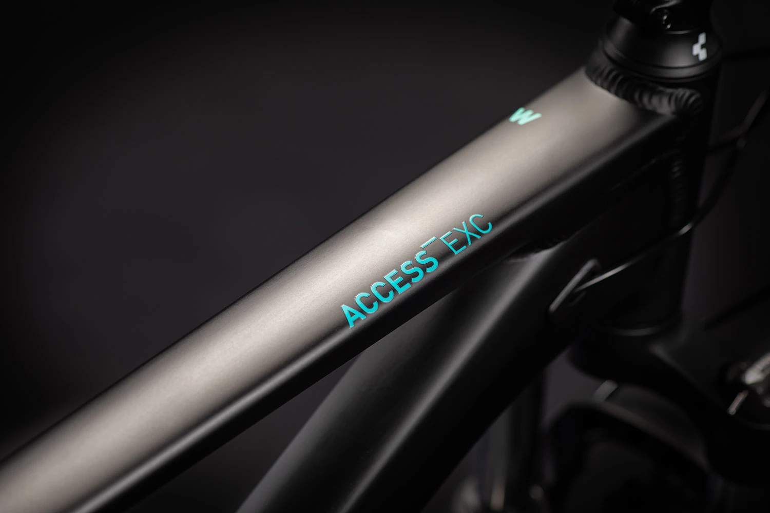 Cube Access WS EXC | 19 Zoll | Black´n´blue | 29 Zoll 5 Cube Access WS EXC | 19 Zoll | Black´n´blue | 29 Zoll – Bild 3