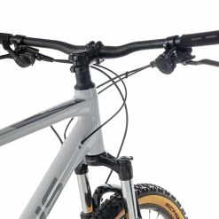 Focus WHISTLER 3.8 2022 -Trekkingbikes Verkäufe focus whistler 3 8 29 litegrey 87399 05