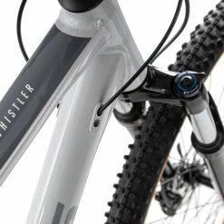 Focus WHISTLER 3.8 2022 -Trekkingbikes Verkäufe focus whistler 3 8 29 litegrey 87399 06