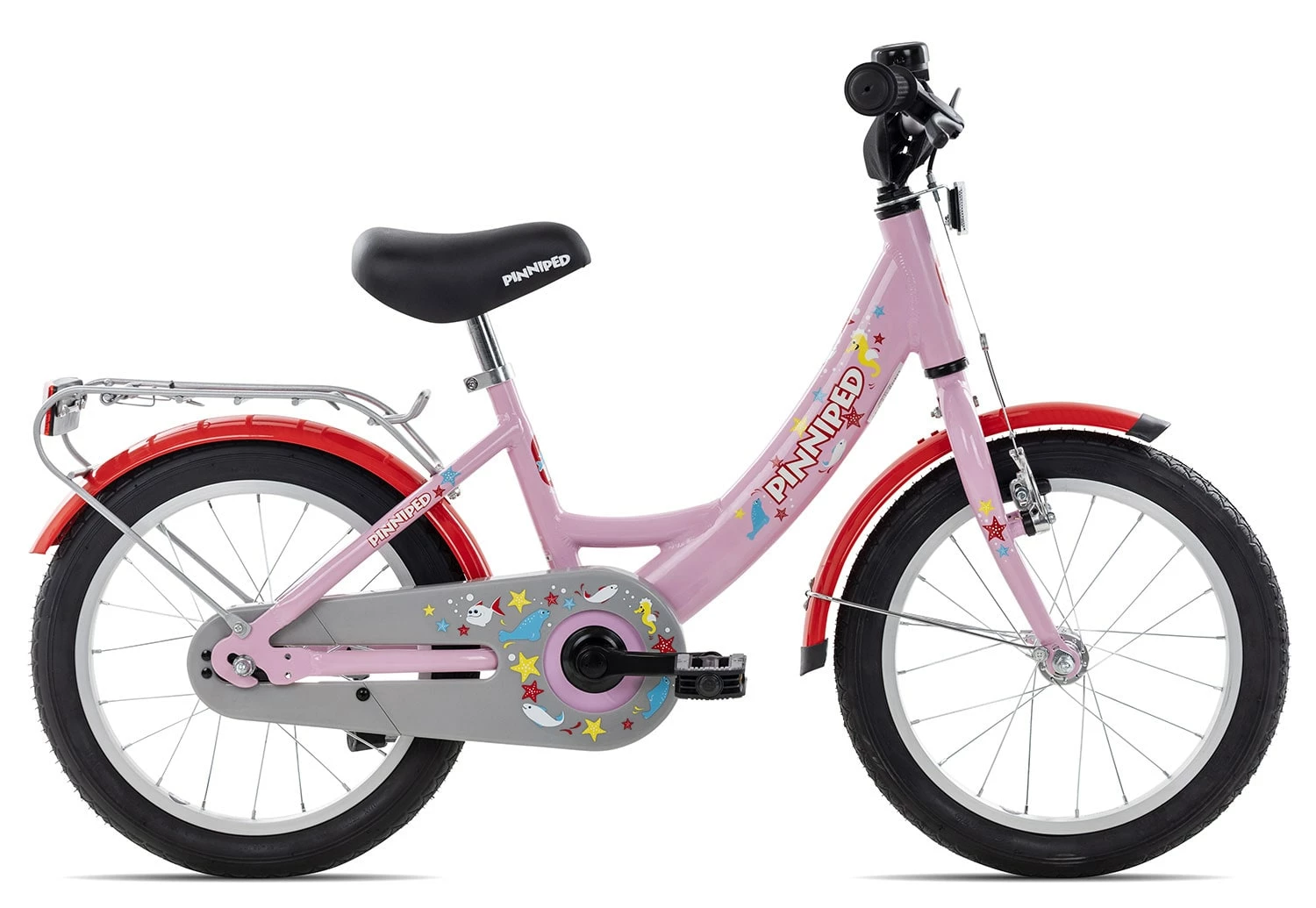 Pinniped Kid 16 3 Pinniped Kid 16