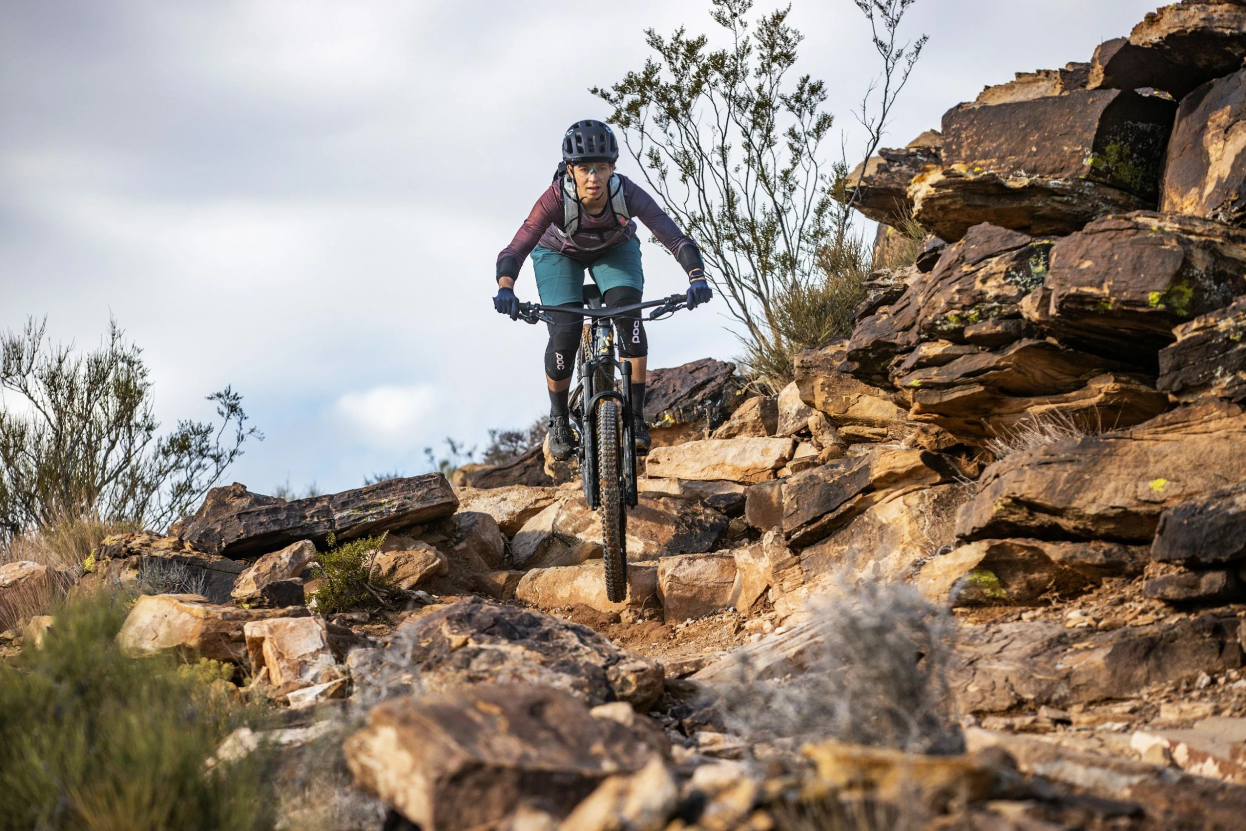 Titelseite 54 Titelseite -Trekkingbikes Verkäufe rosaeltorresdavis 32 2 6425f33f134d0 scaled